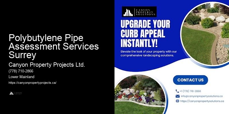 Safe and Effective Polybutylene Replacement Polybutylene Pipe Assessment Services Surrey