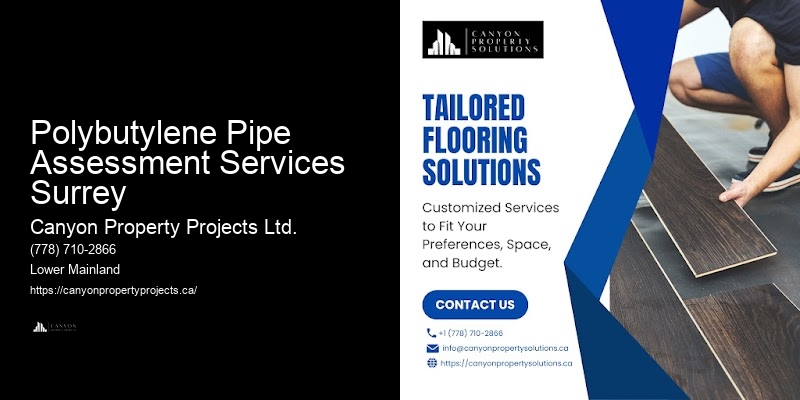 Polybutylene Pipe System Upgrades Polybutylene Pipe Assessment Services Surrey