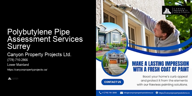 Polybutylene Pipe Assessment Services Surrey Polybutylene Plumbing Replacements