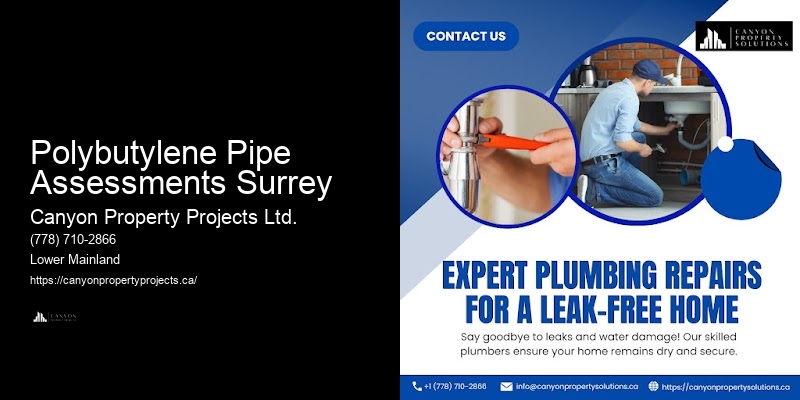Best Practices in Polybutylene Replacement Polybutylene Pipe Assessments Surrey