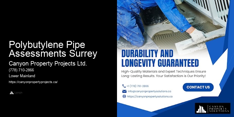 Certified Polybutylene Pipe Assessments Surrey Polybutylene Replacement Experts