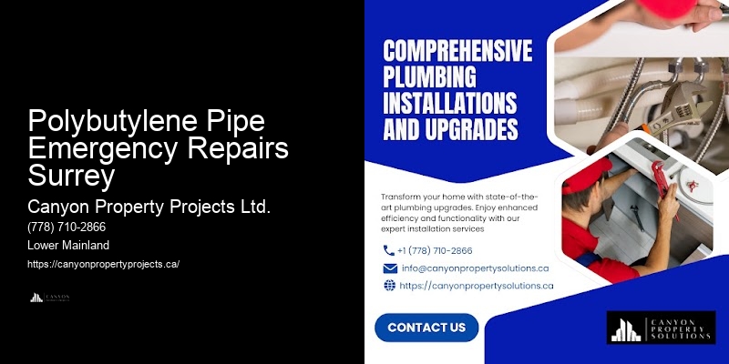 Reliable Polybutylene Pipe Replacement and Repair Near Me