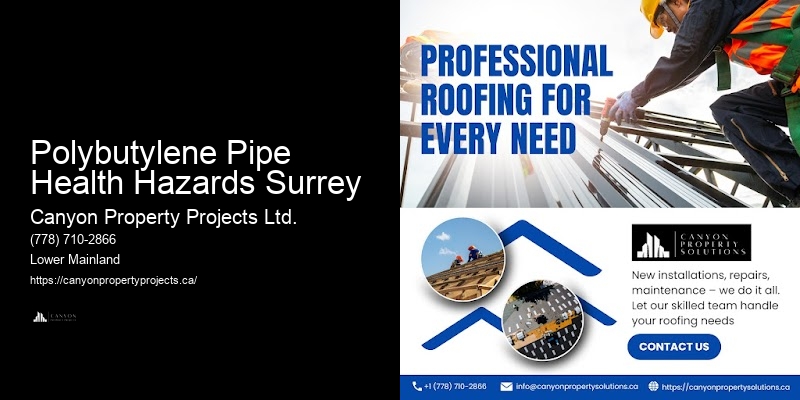 Polybutylene Pipe Health Hazards Surrey Certified Plumbers for Polybutylene