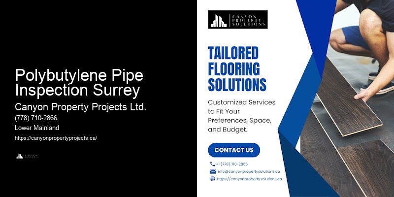 Polybutylene Pipe Inspection Surrey Polybutylene Pipe Replacement Company