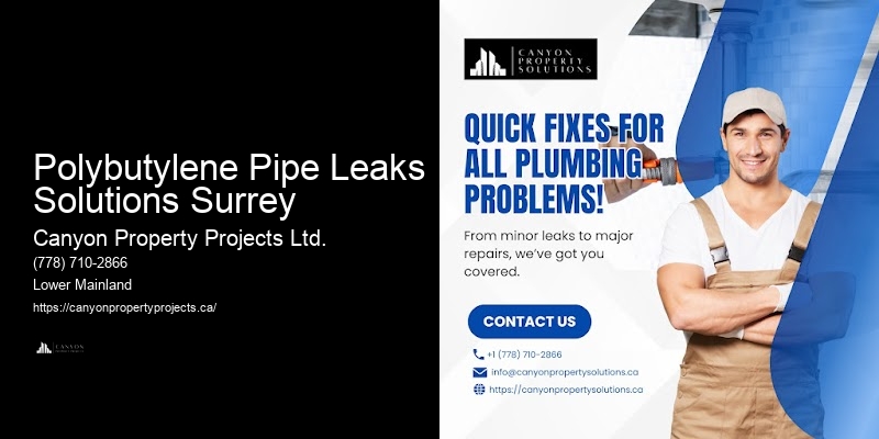 Polybutylene Pipe Leaks Solutions Surrey