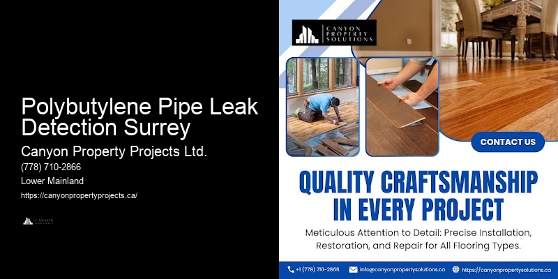 Polybutylene Plumbing Installation Polybutylene Pipe Leak Detection Surrey