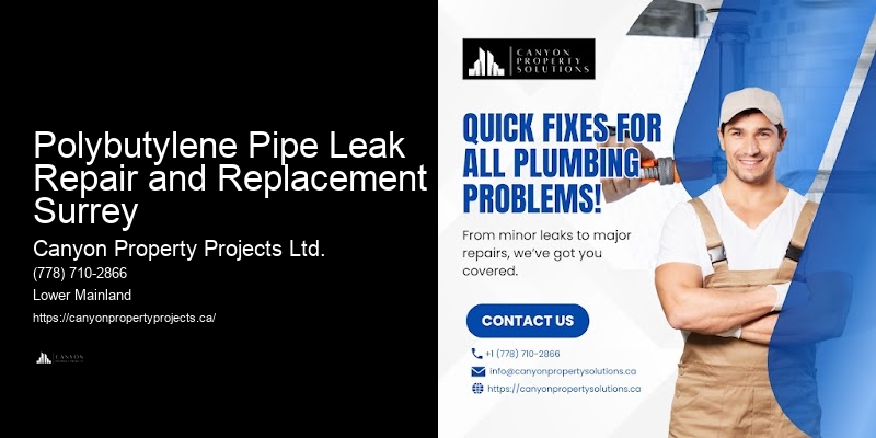 Affordable Options for Polybutylene Replacement Polybutylene Pipe Leak Repair and Replacement Surrey