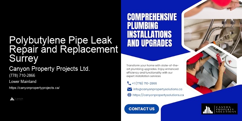 Polybutylene Pipe Replacement Assessment Polybutylene Pipe Leak Repair and Replacement Surrey