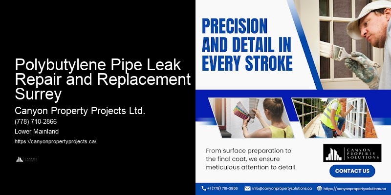 Replace Outdated Polybutylene Pipes Polybutylene Pipe Leak Repair and Replacement Surrey