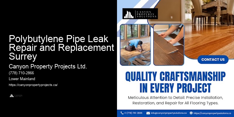 Best Value Polybutylene Pipe Replacement Polybutylene Pipe Leak Repair and Replacement Surrey