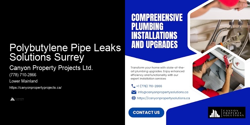 Expert Polybutylene Plumbing Replacement Services in Polybutylene Pipe Leaks Solutions Surrey