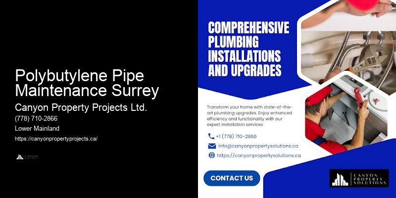 Polybutylene Pipe Maintenance Surrey Plumbing Services for Polybutylene Pipes
