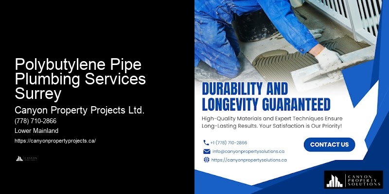 Polybutylene Pipe Service Warranties Polybutylene Pipe Plumbing Services Surrey