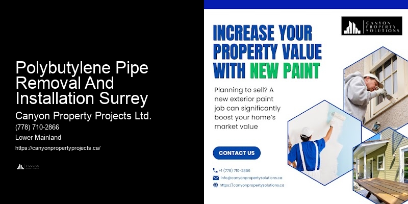 Professional Polybutylene Pipe Replacement for Residential Properties