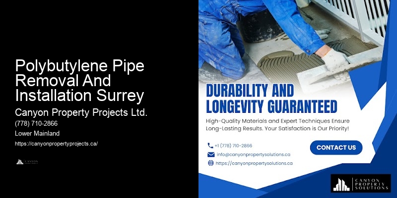 Quality Polybutylene Plumbing Replacement at Competitive Prices