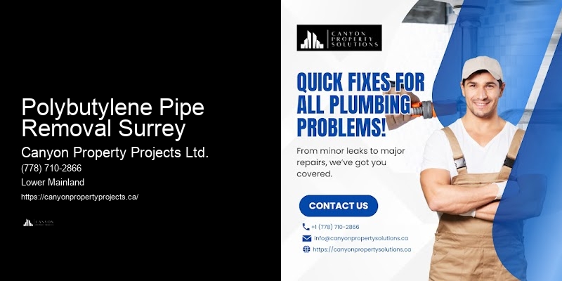 Polybutylene Pipe Removal Surrey Plumbing Repair for Polybutylene Pipes