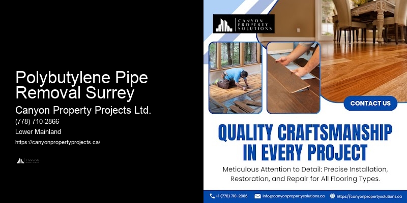 Polybutylene Replacement for New Homeowners Polybutylene Pipe Removal Surrey