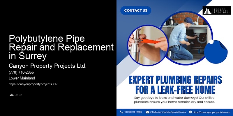 Comprehensive Polybutylene Pipe Inspection and Replacement Services in Polybutylene Pipe Repair and Replacement in Surrey