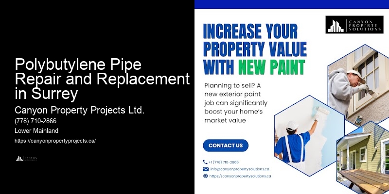 Polybutylene Pipe Repair and Replacement in Surrey Polybutylene Plumbing Replacement