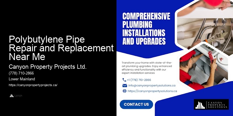 Polybutylene Pipe Repair and Replacement Near Me Plumbing Repair for Polybutylene Pipes