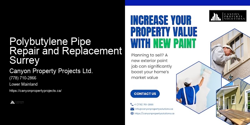 Polybutylene Pipe Repair and Replacement Surrey Certified Plumbers for Polybutylene