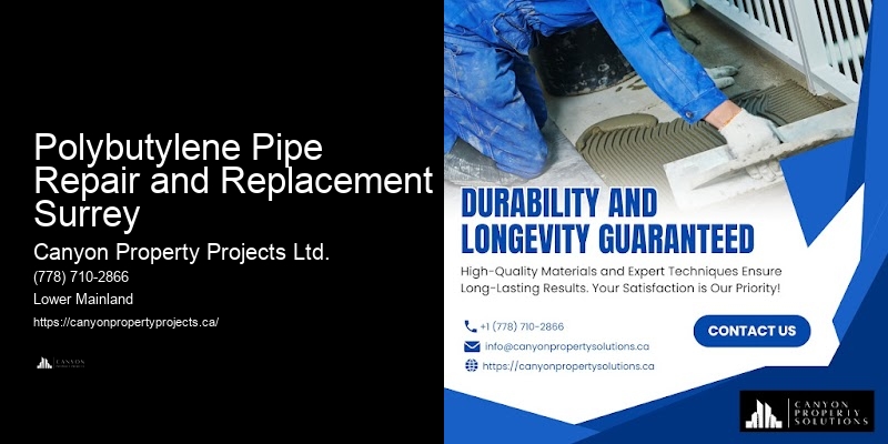 Polybutylene Pipe Issues Polybutylene Pipe Repair and Replacement Surrey