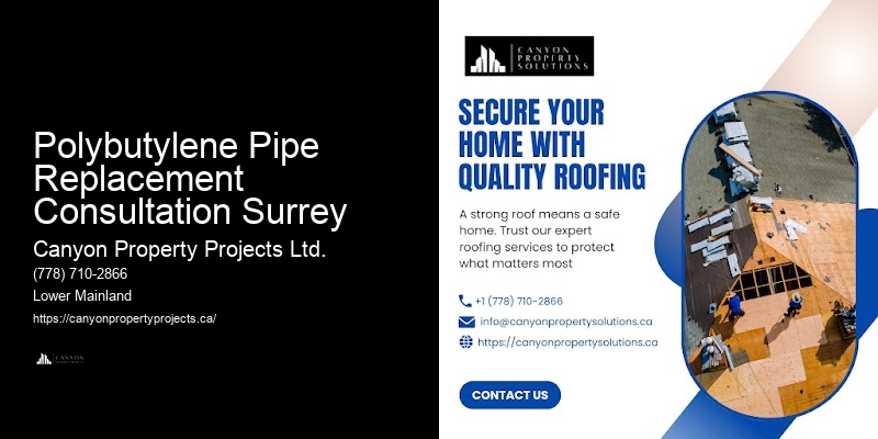 Polybutylene Pipe Replacement Consultation Surrey Residential Polybutylene Pipe Replacement