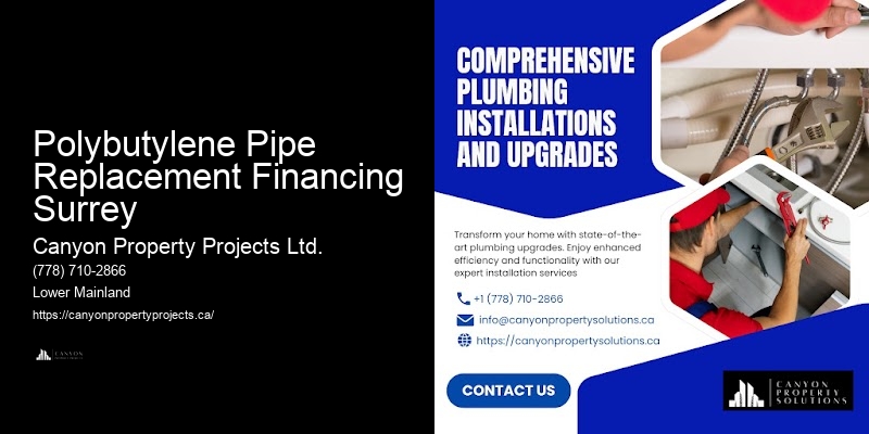 Polybutylene Plumbing Installation Polybutylene Pipe Replacement Financing Surrey