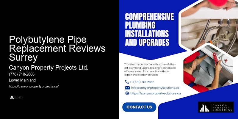 Polybutylene Pipe Leak Detection Polybutylene Pipe Replacement Reviews Surrey