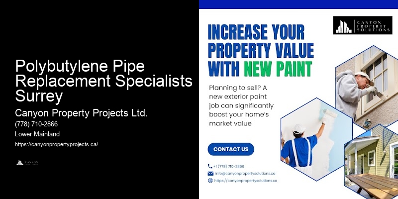 Expert Polybutylene Pipe Evaluation Polybutylene Pipe Replacement Specialists Surrey