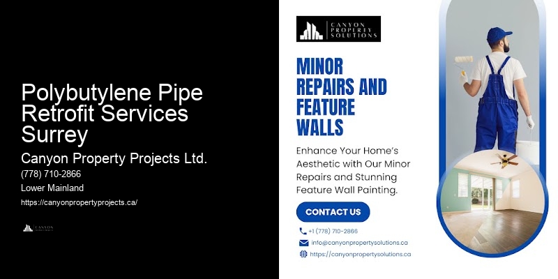 Polybutylene Plumbing Replacement Services Polybutylene Pipe Retrofit Services Surrey