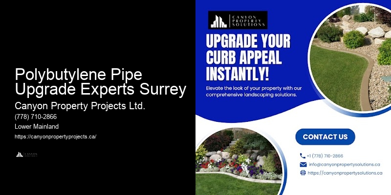 Pipe Leak Detection and Replacement for Polybutylene Polybutylene Pipe Upgrade Experts Surrey