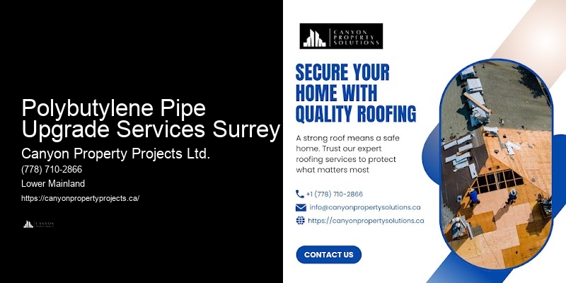 Polybutylene Pipe System Evaluations Polybutylene Pipe Upgrade Services Surrey