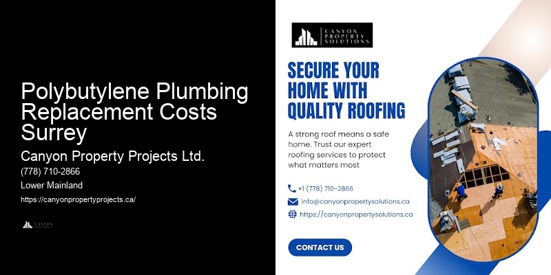 Polybutylene Plumbing Project Polybutylene Plumbing Replacement Costs Surrey