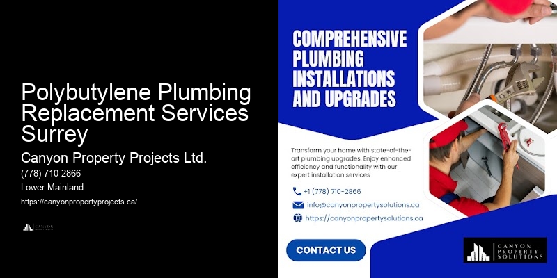 Best Price Polybutylene Pipe Replacement Polybutylene Plumbing Replacement Services Surrey