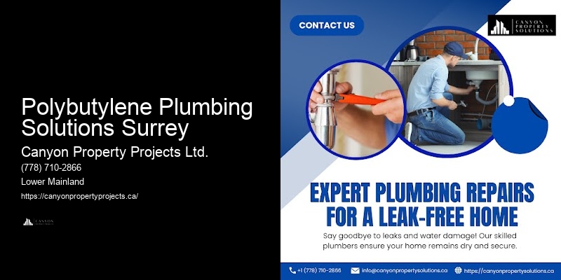 Reliable Polybutylene Plumbing Replacement Services Polybutylene Plumbing Solutions Surrey