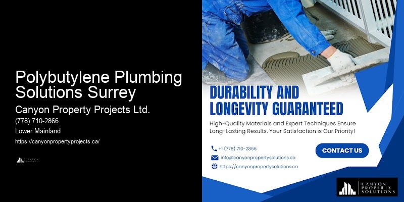 Polybutylene Plumbing Solutions Surrey Polybutylene Pipe Issue Resolution