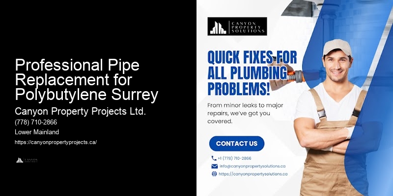 Professional Pipe Replacement for Polybutylene Surrey Polybutylene Plumbing Services