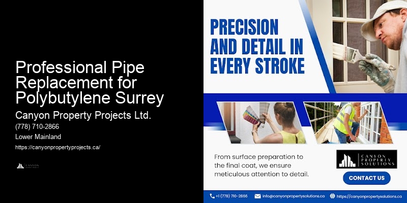 Polybutylene Pipe Management Services Professional Pipe Replacement for Polybutylene Surrey