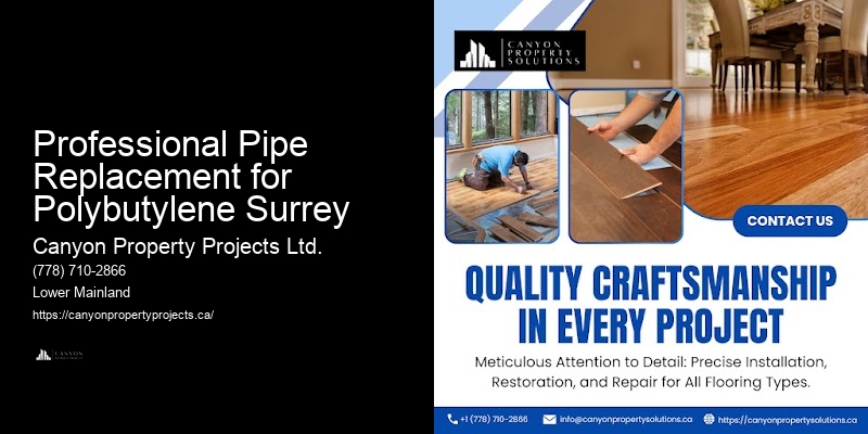 Preventative Polybutylene Pipe Upgrades Professional Pipe Replacement for Polybutylene Surrey