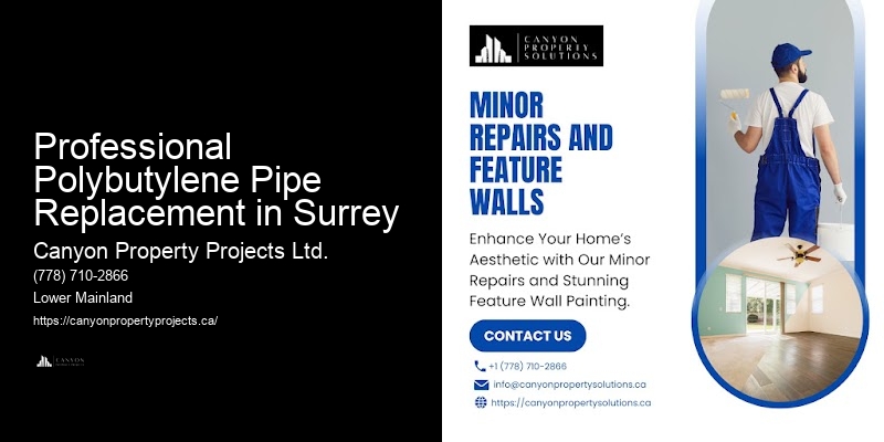 Polybutylene Pipe System Upgrades Professional Polybutylene Pipe Replacement in Surrey