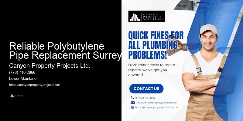 Reliable Polybutylene Pipe Replacement Surrey Polybutylene Plumbing Experts
