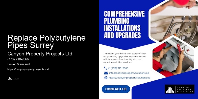 Polybutylene Pipe Inspection Services Replace Polybutylene Pipes Surrey