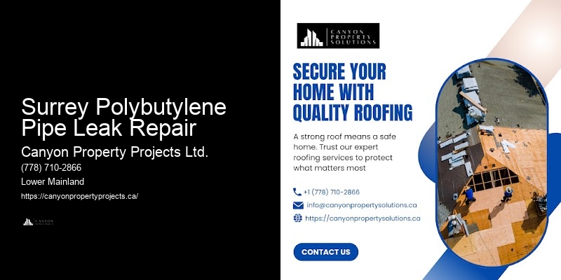 Polybutylene Pipe Replacement Consultation Services Surrey Polybutylene Pipe Leak Repair
