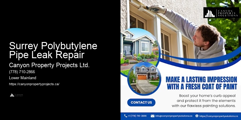Surrey Polybutylene Pipe Leak Repair Residential Polybutylene Pipe Replacement