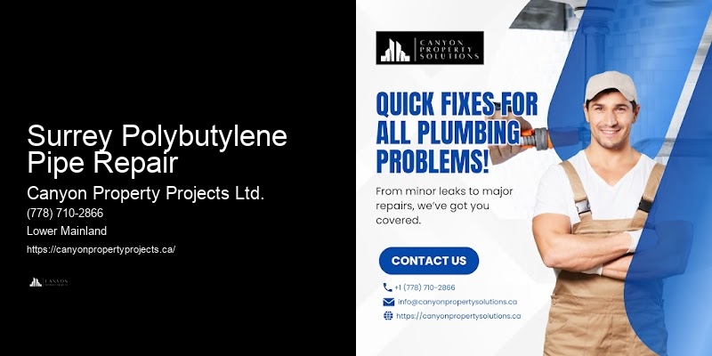 Surrey Polybutylene Pipe Repair Plumbing Services for Polybutylene Pipes