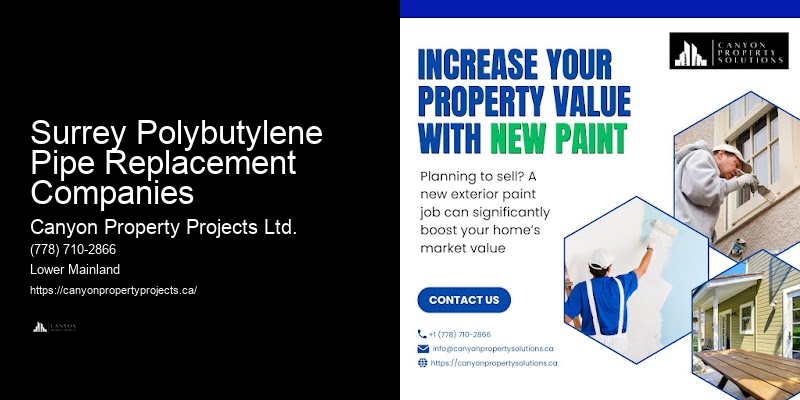 Surrey Polybutylene Pipe Replacement Companies Polybutylene Pipe Service Guarantee