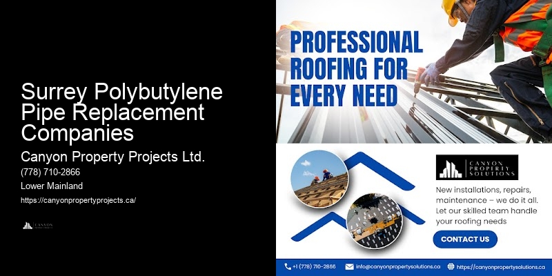 Polybutylene Pipe Replacement Options Surrey Polybutylene Pipe Replacement Companies