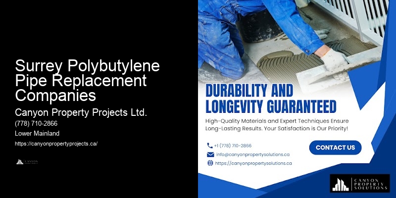 Trusted Polybutylene Pipe Services Surrey Polybutylene Pipe Replacement Companies