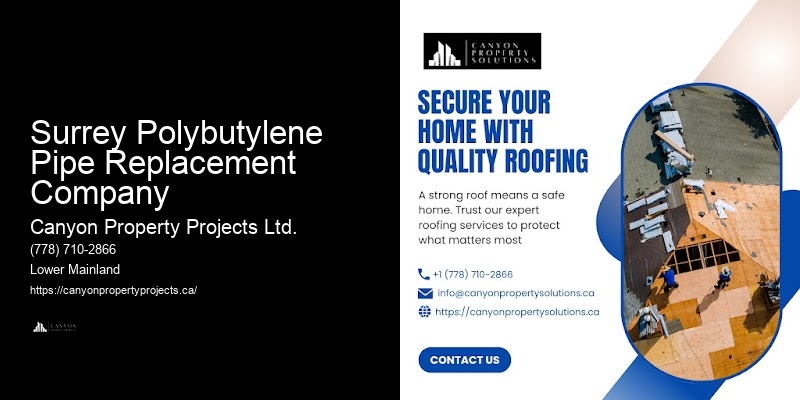 Polybutylene Pipe Replacement Plumbing Inspection Surrey Polybutylene Pipe Replacement Company